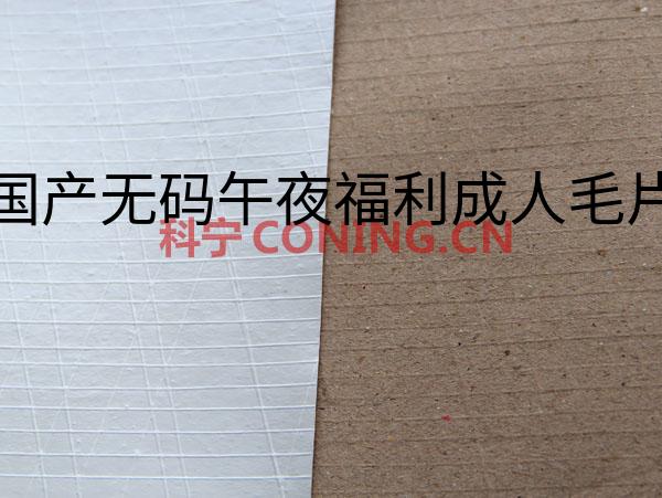 亚洲精品国产无码午夜福利成人毛片中文字幕